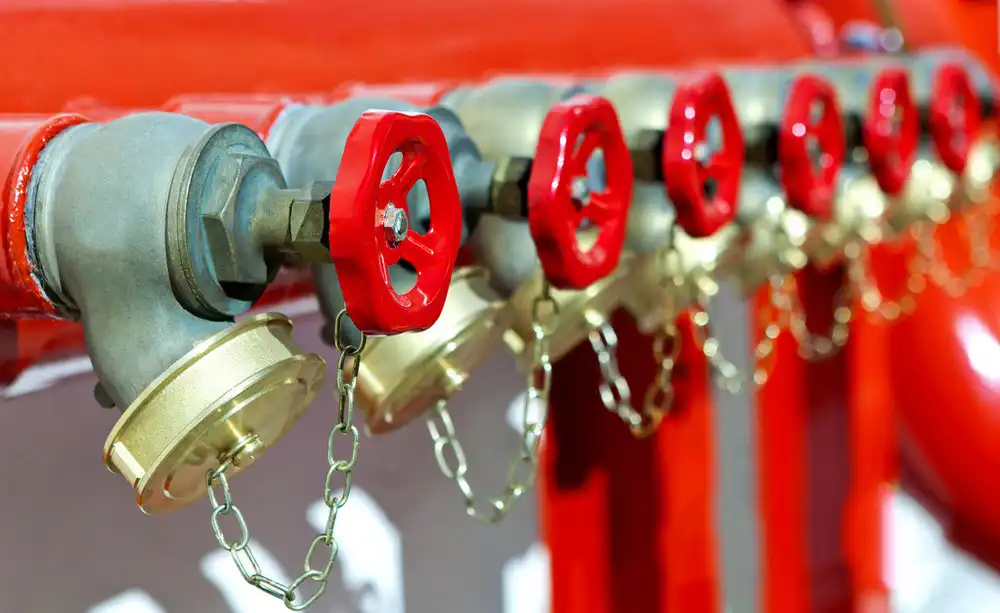 1723779749 1723779749