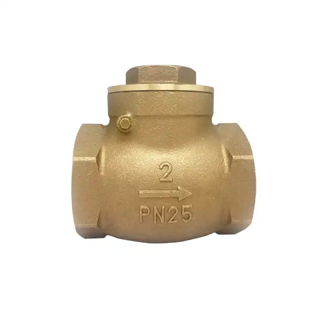 Leyon Fire Fighting Brass Swing Check Valve